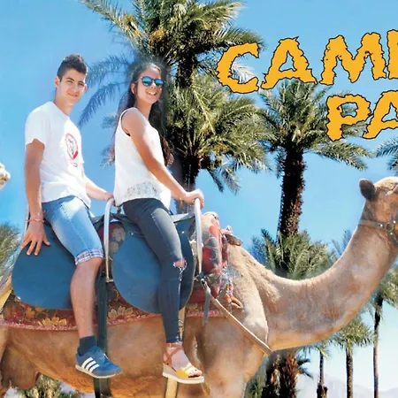 Sunny فندق 3*